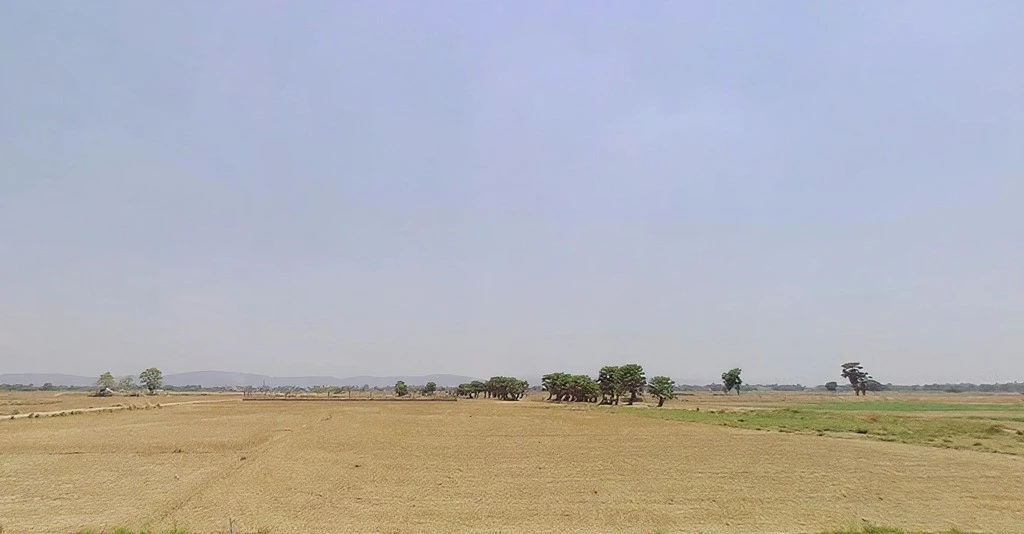 Silao, Bihar 803117, India