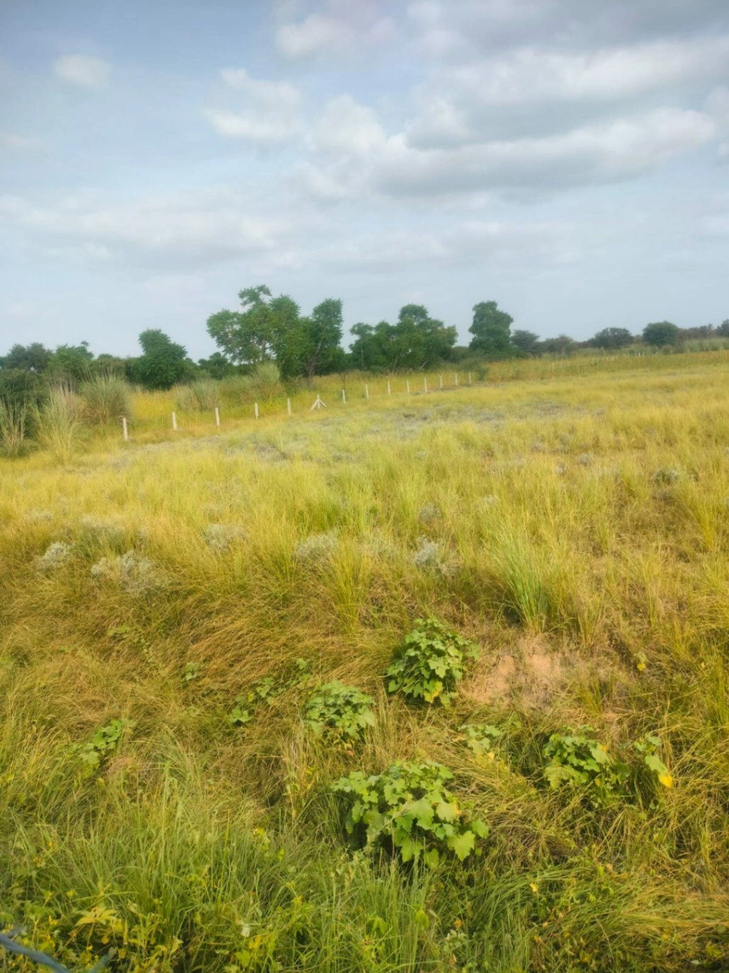 JGMW+F36, Jaipur, Sultaniya, Rajasthan 303005, India
