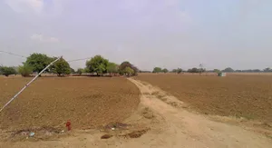 Muskara, Uttar Pradesh 210506, India preview 4