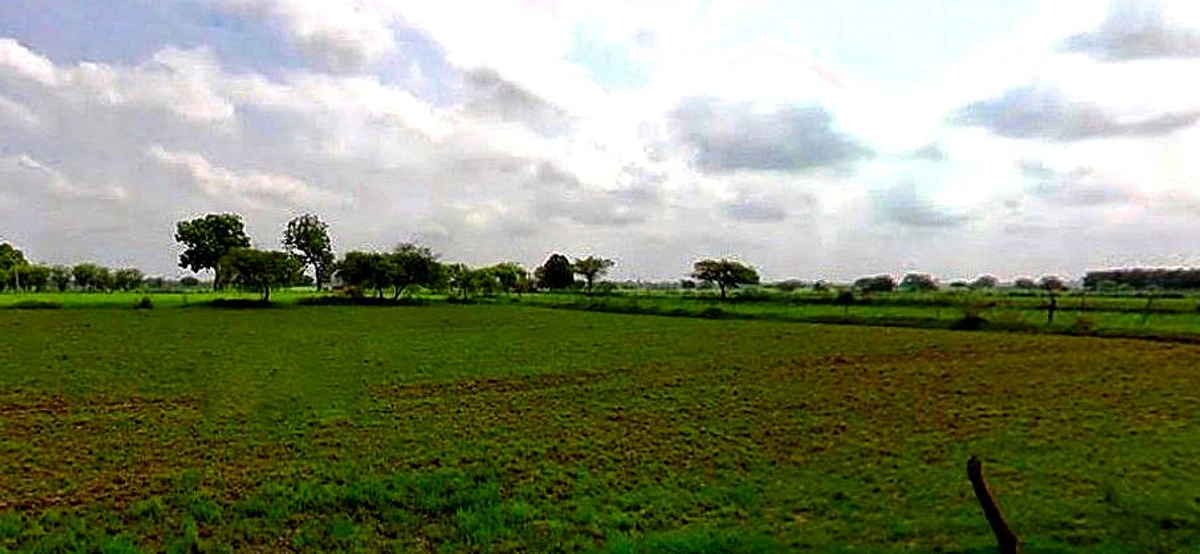 Barsana, Uttar Pradesh 281405, India