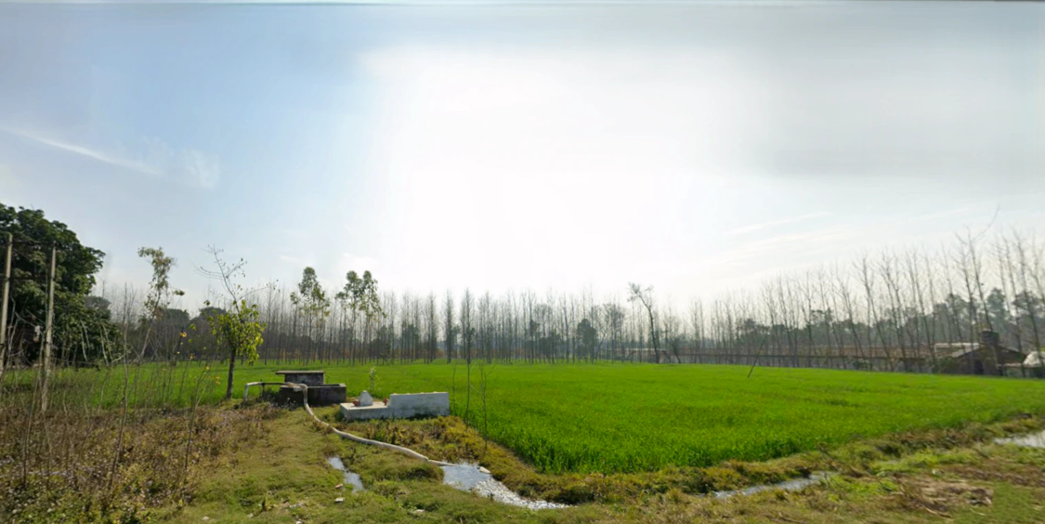 Muzaffarabad, Uttar Pradesh 247129, India