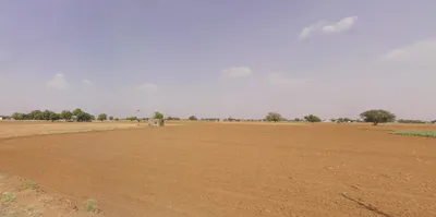 Kaluana, Haryana 125103, India preview 2