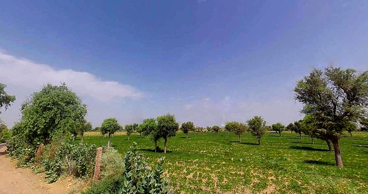 Punrasar, Rajasthan 331811, India