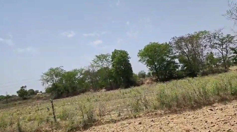 Mant, Uttar Pradesh 281202, India
