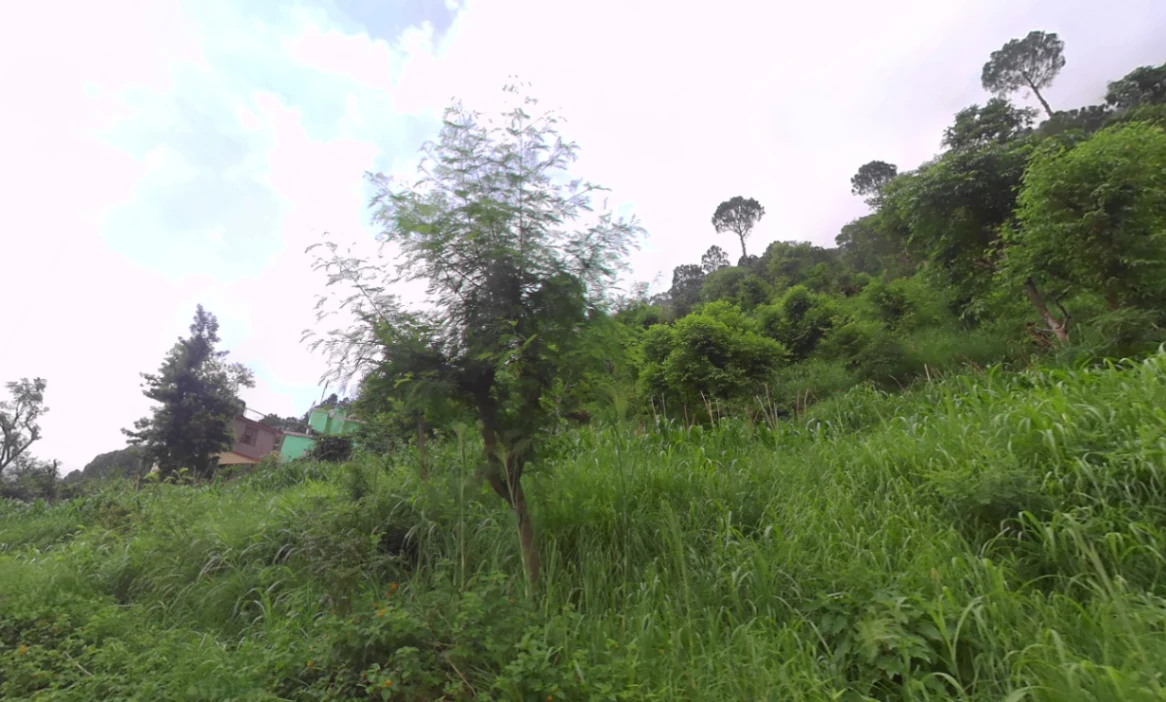 Dadahu, Himachal Pradesh 173022, India