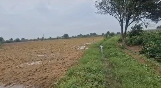 RMQF+X8 Gajwel, Siddipet, Telangana, India - Photo 3