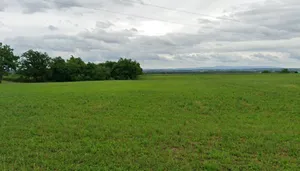 Begumganj, Madhya Pradesh, India preview 2