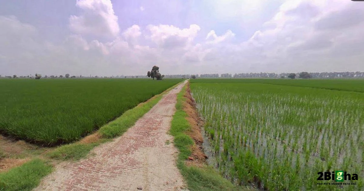 Hansi, Haryana 125033, India
