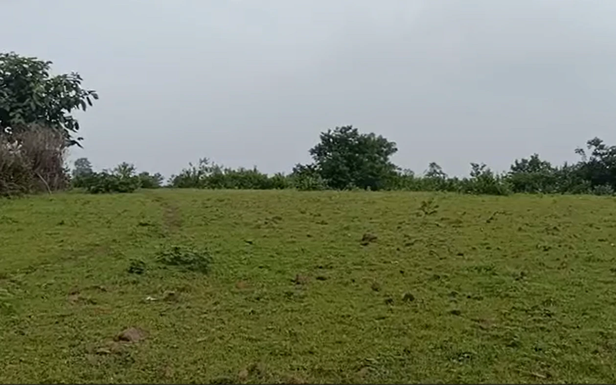 Papdel, Rajgarh, Madhya Pradesh 465679, India