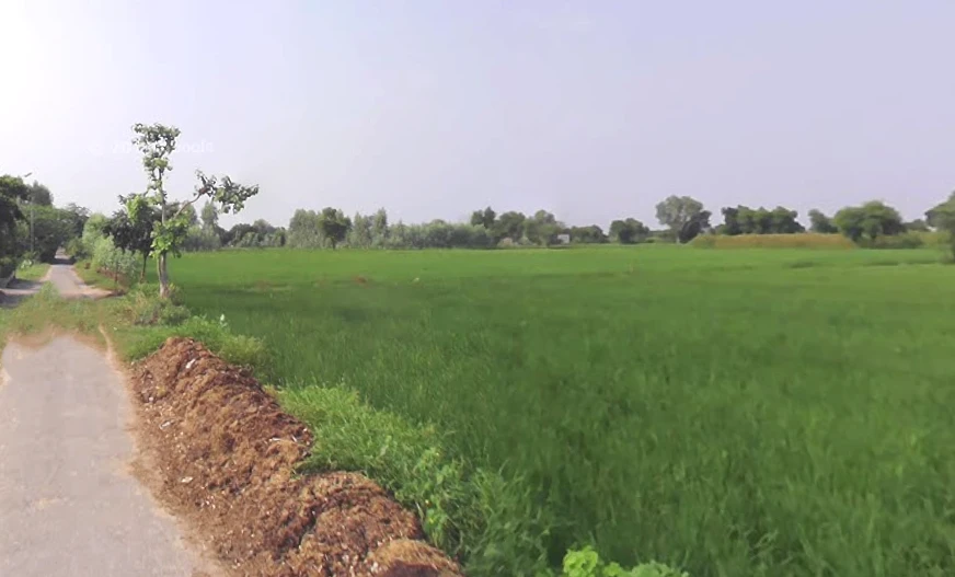 Behat, Uttar Pradesh 247121, India