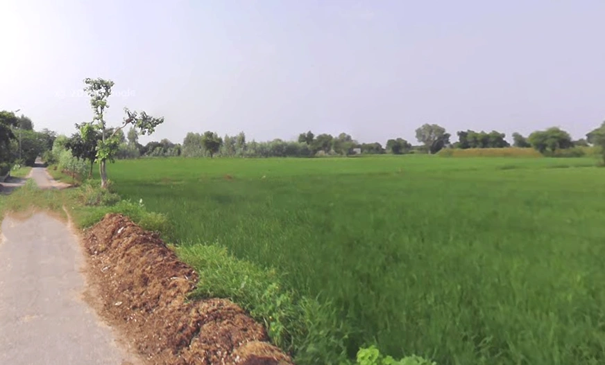 Behat, Uttar Pradesh 247121, India