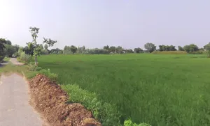 Behat, Uttar Pradesh 247121, India preview 2