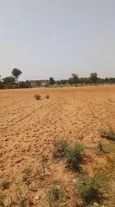 Q975+RG Jaisindhar, Barmer, Rajasthan, India preview 2