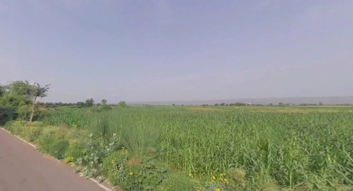 PW4H+XJJ, Rawli, Haryana 122104, India