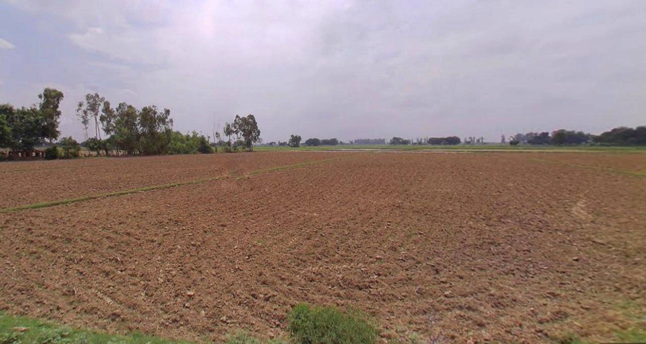 Bhiwani, Haryana, India
