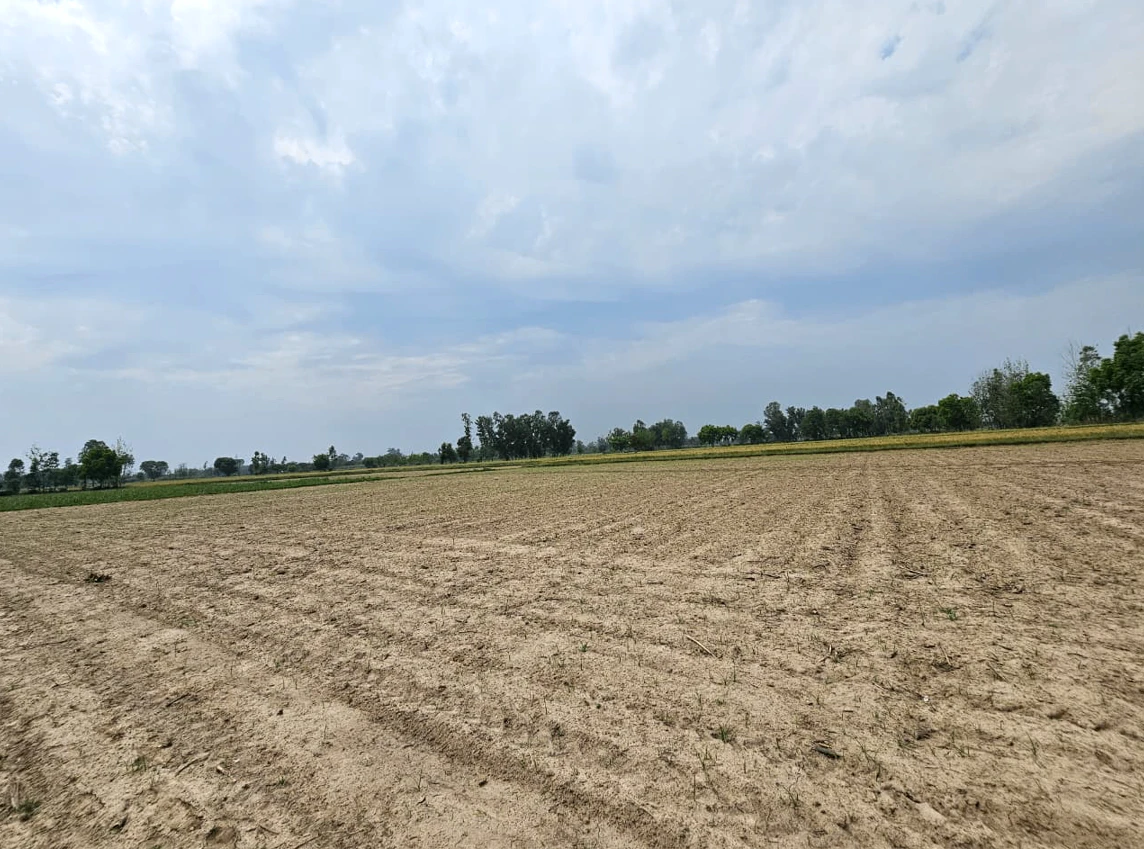 Randhawa Rd, Sahibzada Ajit Singh Nagar, Kharar, Punjab 140301, India