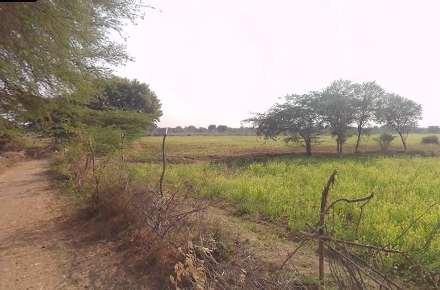 Tisang, Uttar Pradesh 251314, India