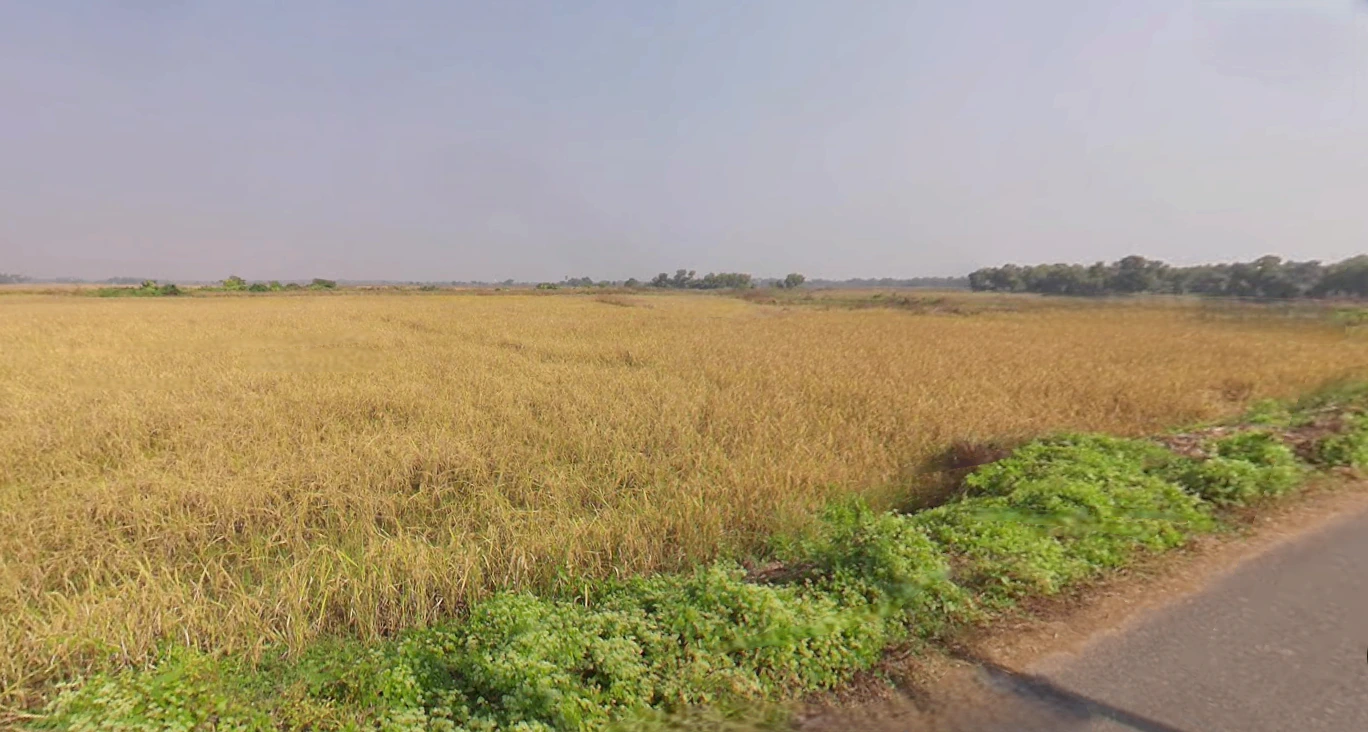 Sakhigopal, Odisha 752014, India