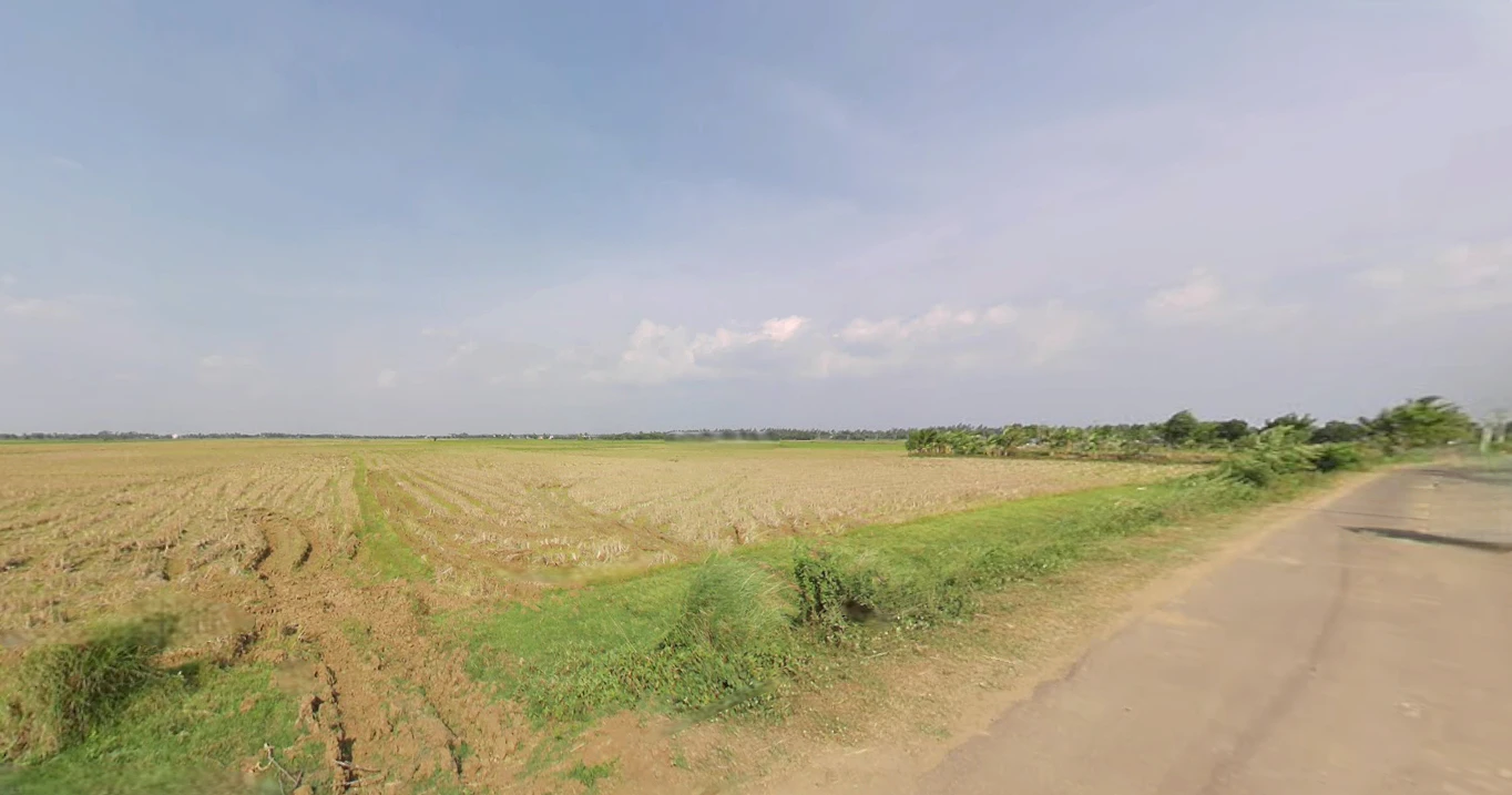 Delang, Odisha 752016, India