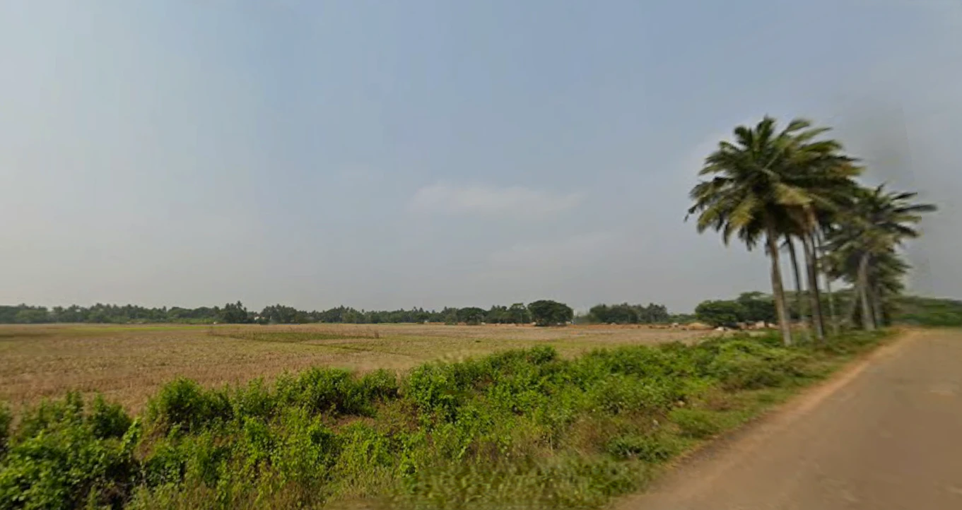 Gudia Pokhari, Odisha 752104, India