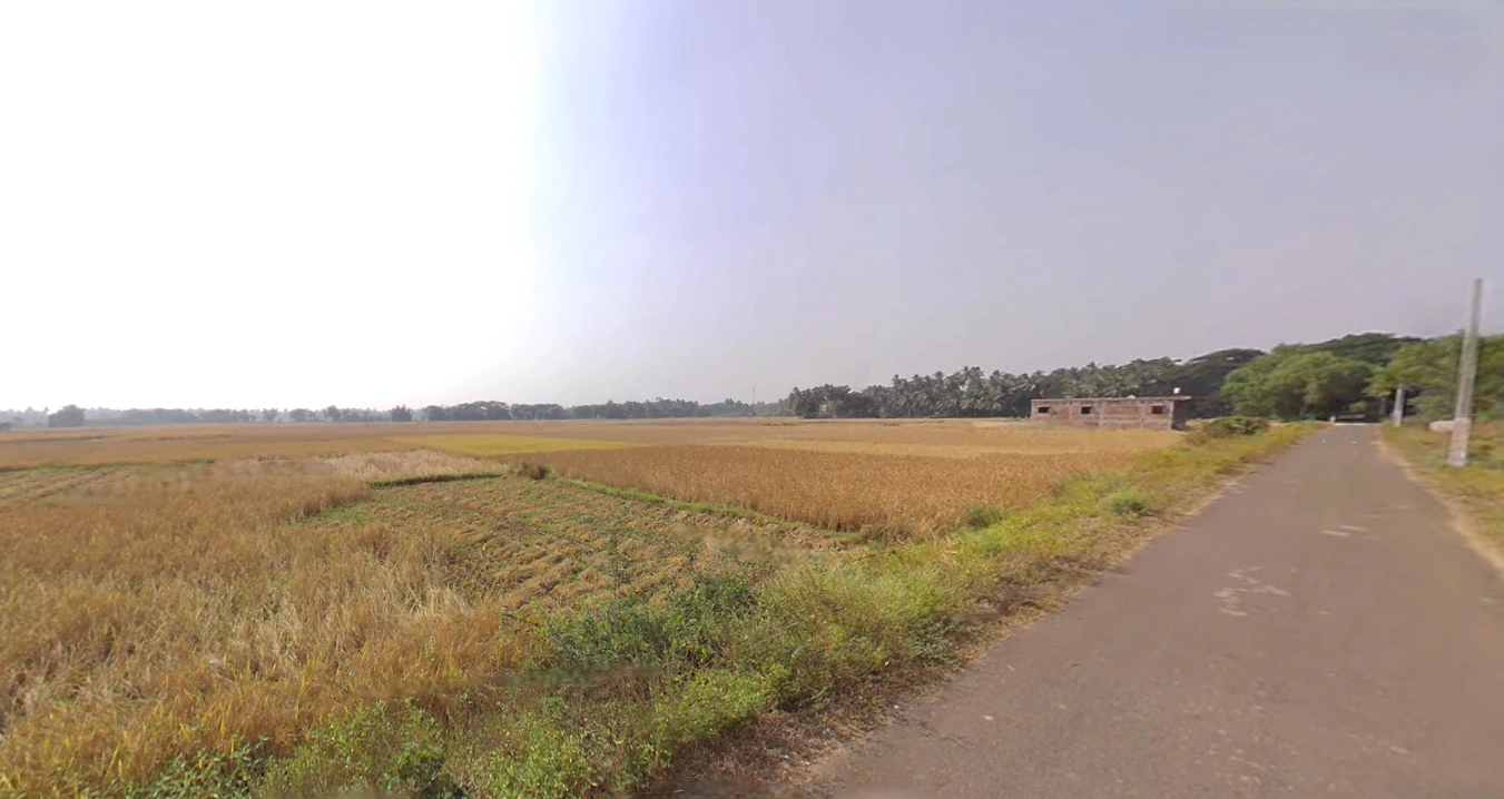 Sakhigopal, Odisha 752014, India