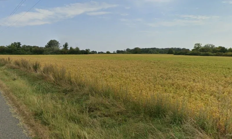 Satlapur, Madhya Pradesh, India preview 2