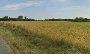 Satlapur, Madhya Pradesh, India preview 2