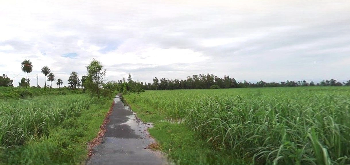 Sikandrabad, Uttar Pradesh 203205, India