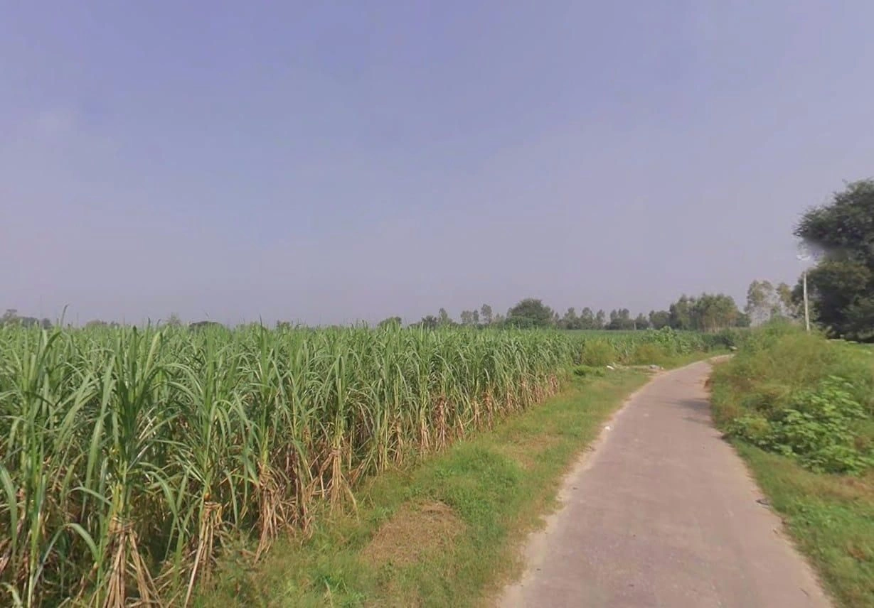 Pithlokhar, Uttar Pradesh 250342, India preview 3