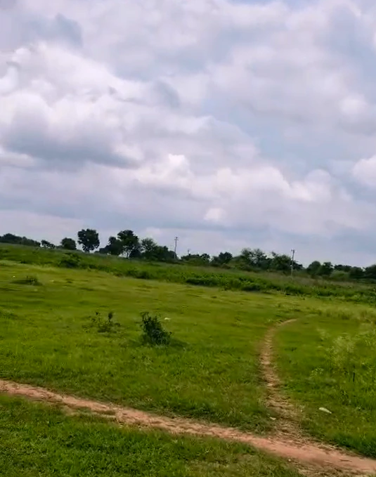 WHWJ+WJ, Warangal, Telangana 506005, India