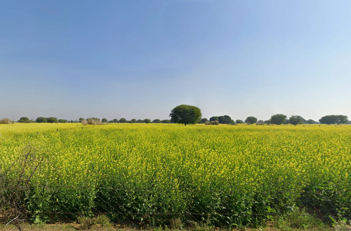 Kotkhawda, Rajasthan 303908, India