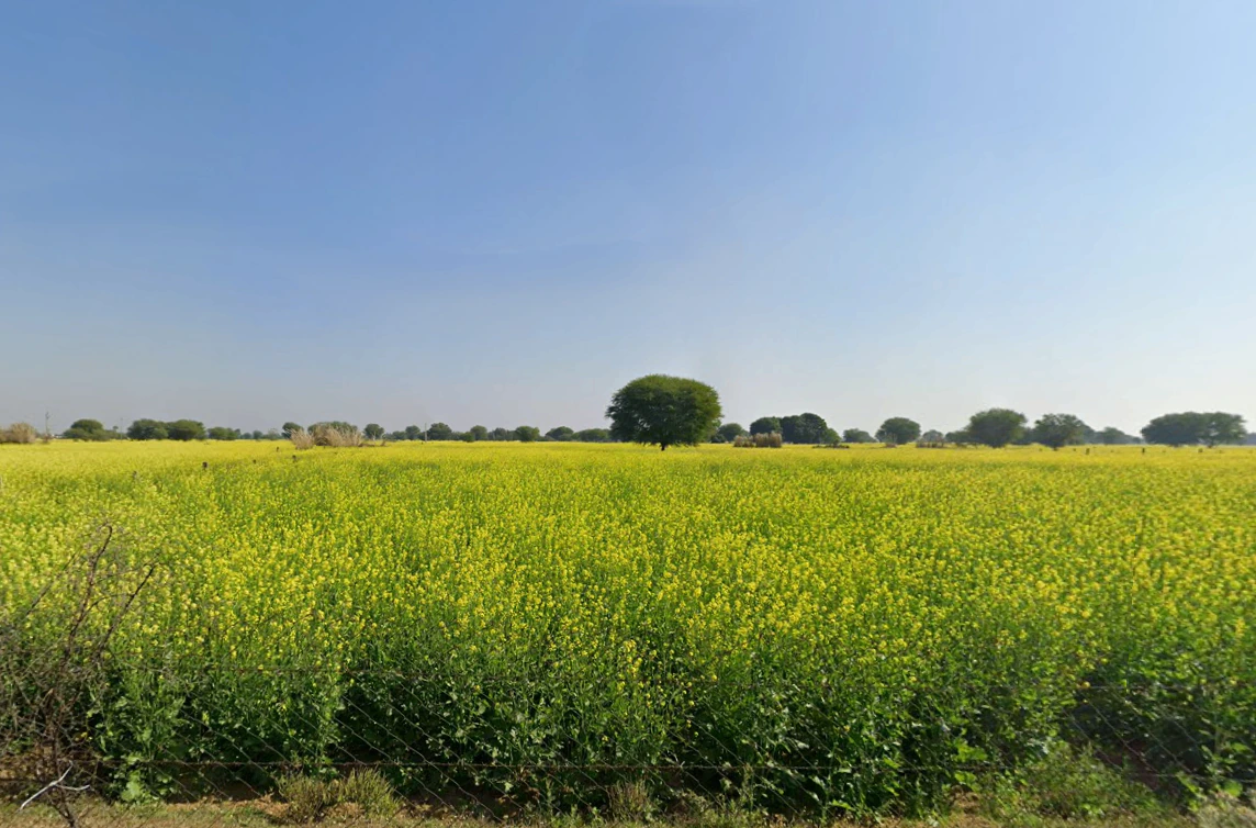 Kotkhawda, Rajasthan 303908, India