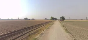 Khagaul, Patna, Bihar, India preview 2