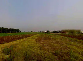 Mawana, Uttar Pradesh, India preview 2