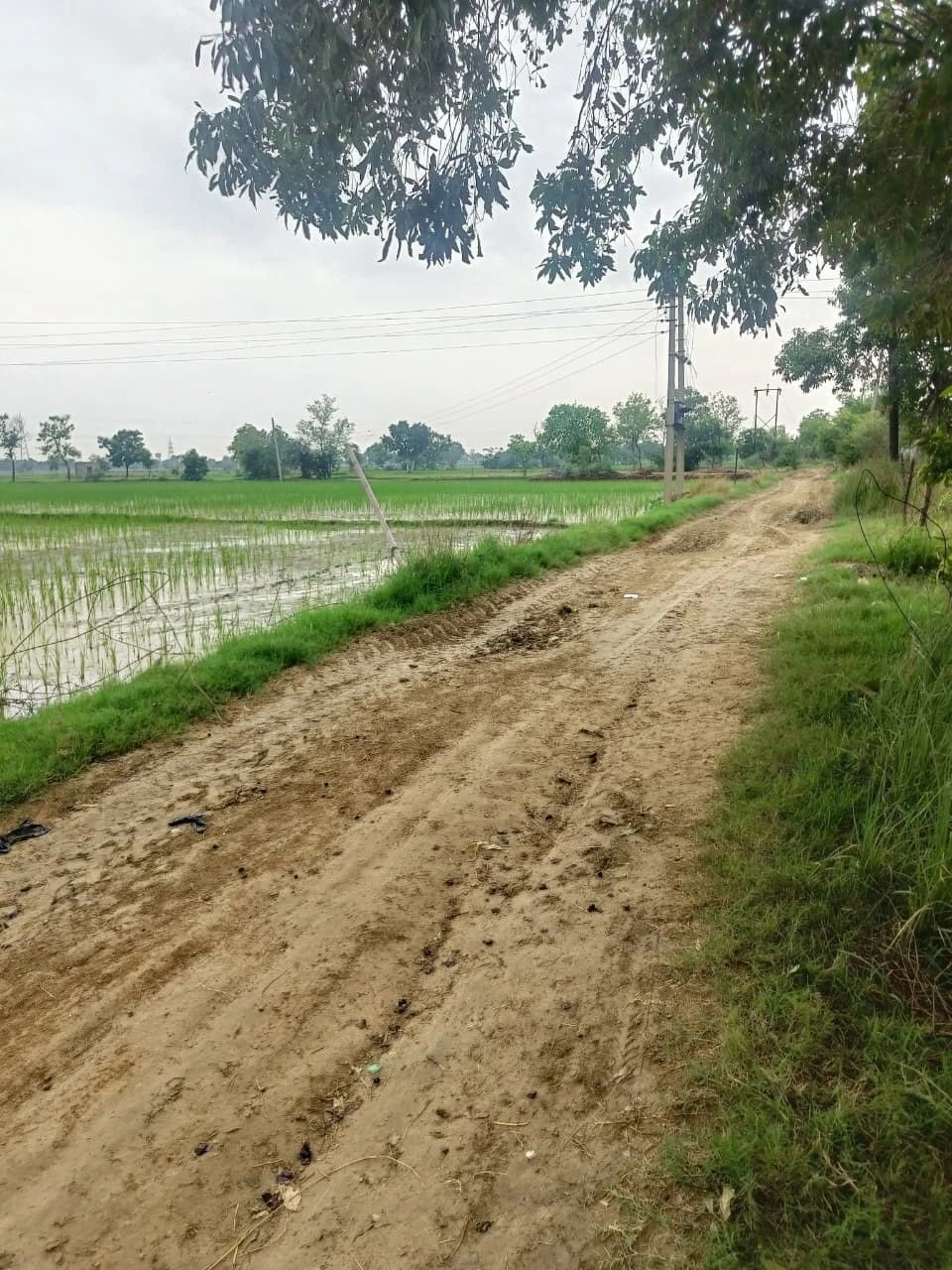 Maudaha, Hamirpur, Uttar Pradesh 210507, India preview 3