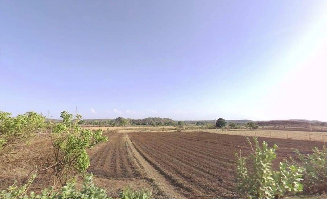 C9M6+93W, Dhimarwa, Madhya Pradesh 471311, India