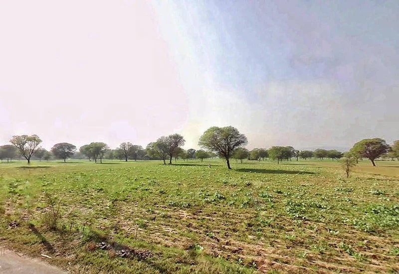 Shahpura, Rajasthan 303103, India preview 3