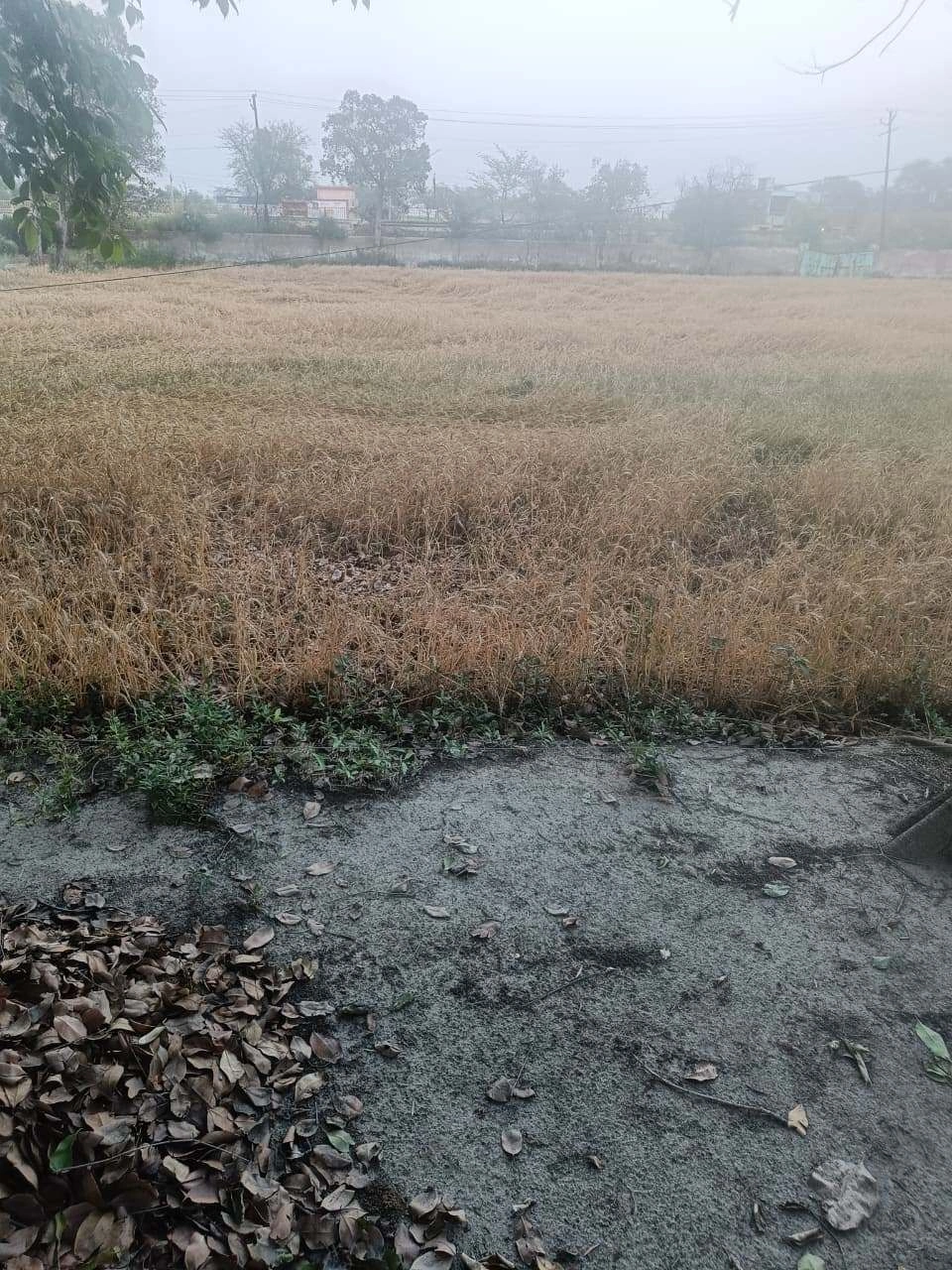 Gharwari, Rajasthan 321201, India