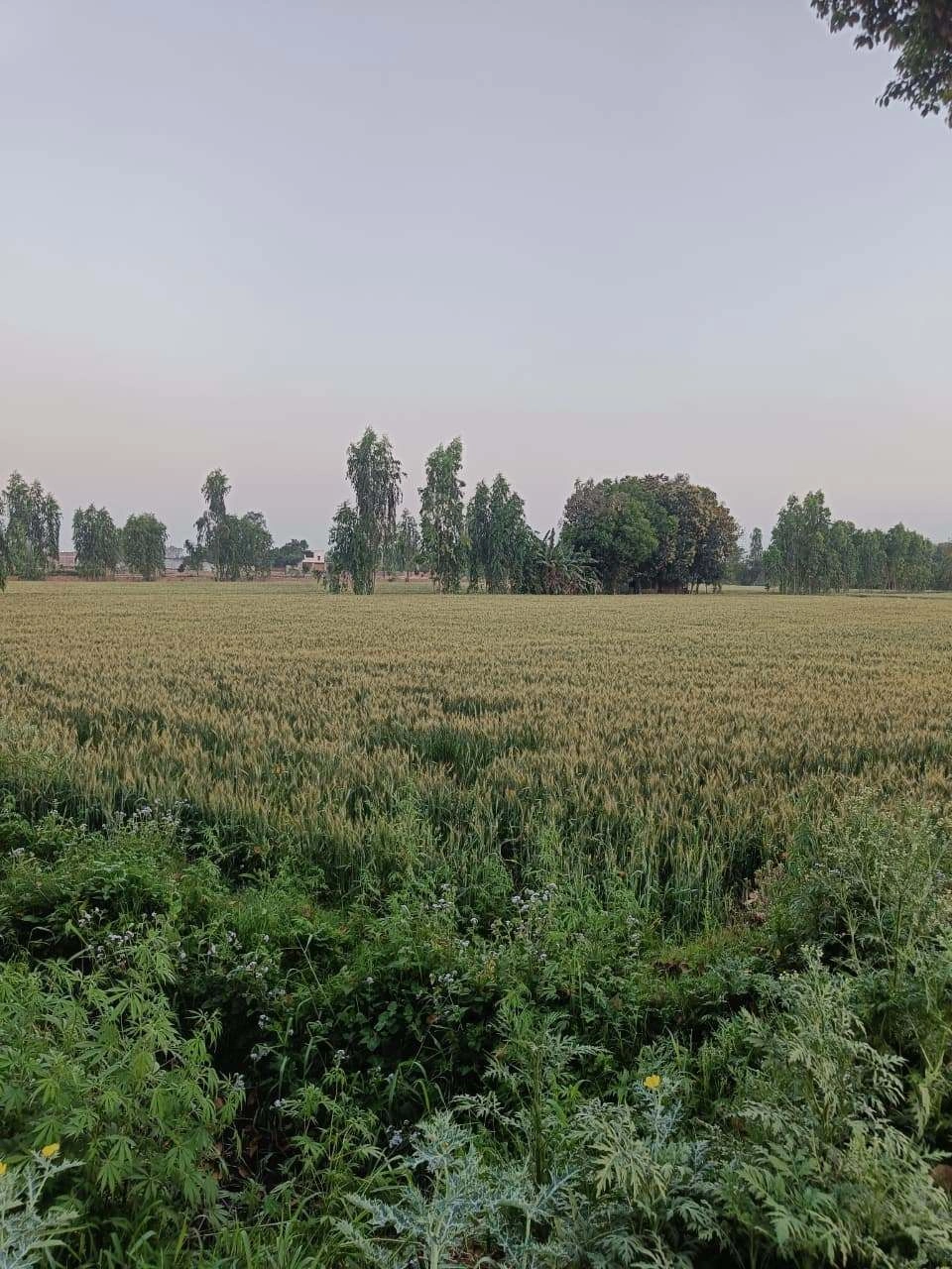 Gharwari, Rajasthan 321201, India preview 2