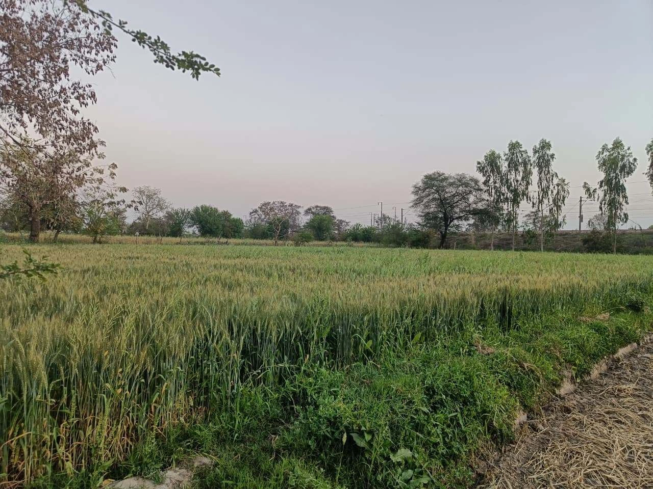 Gharwari, Rajasthan 321201, India