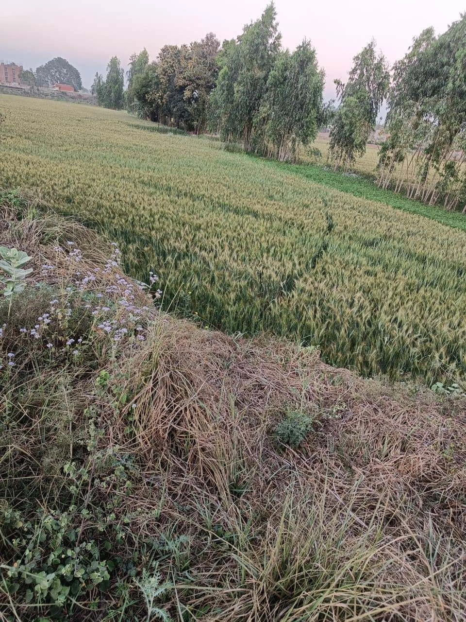 Gharwari, Rajasthan 321201, India