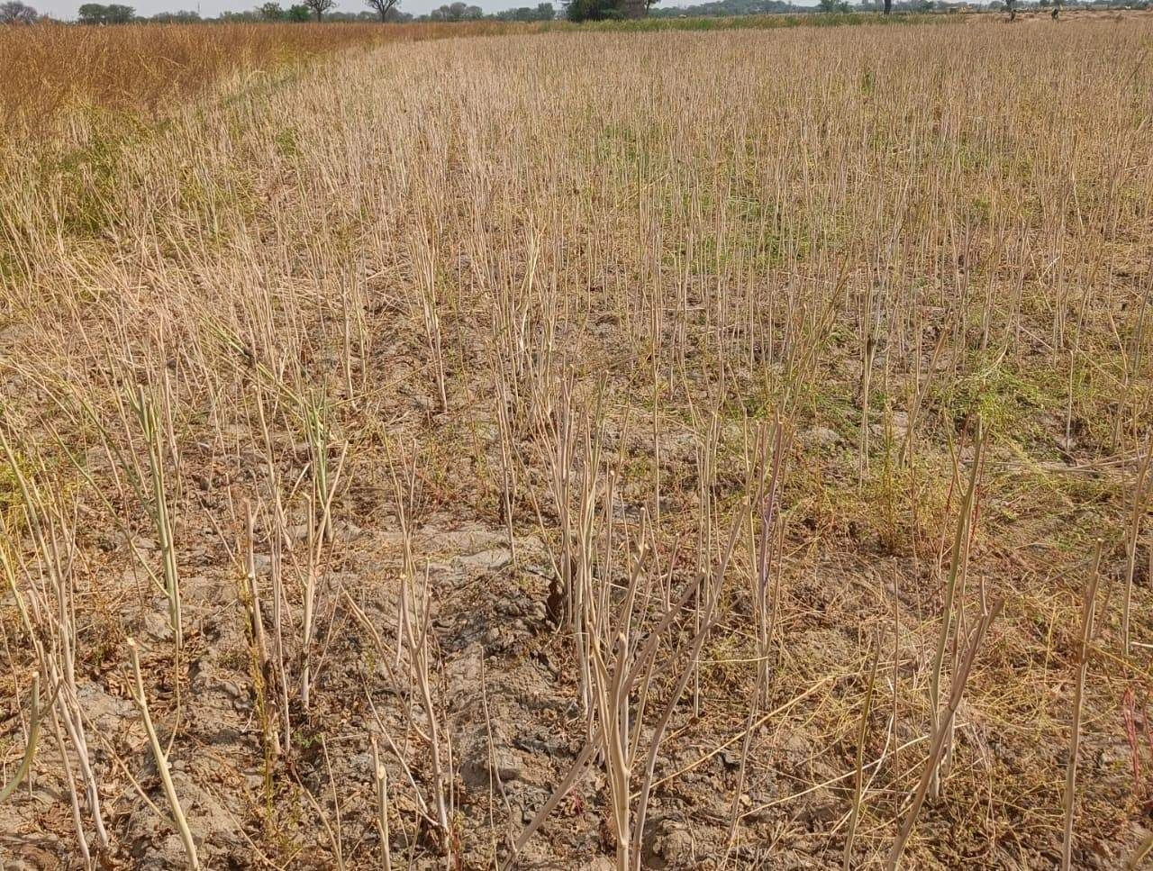 Gharwari, Rajasthan 321201, India preview 2