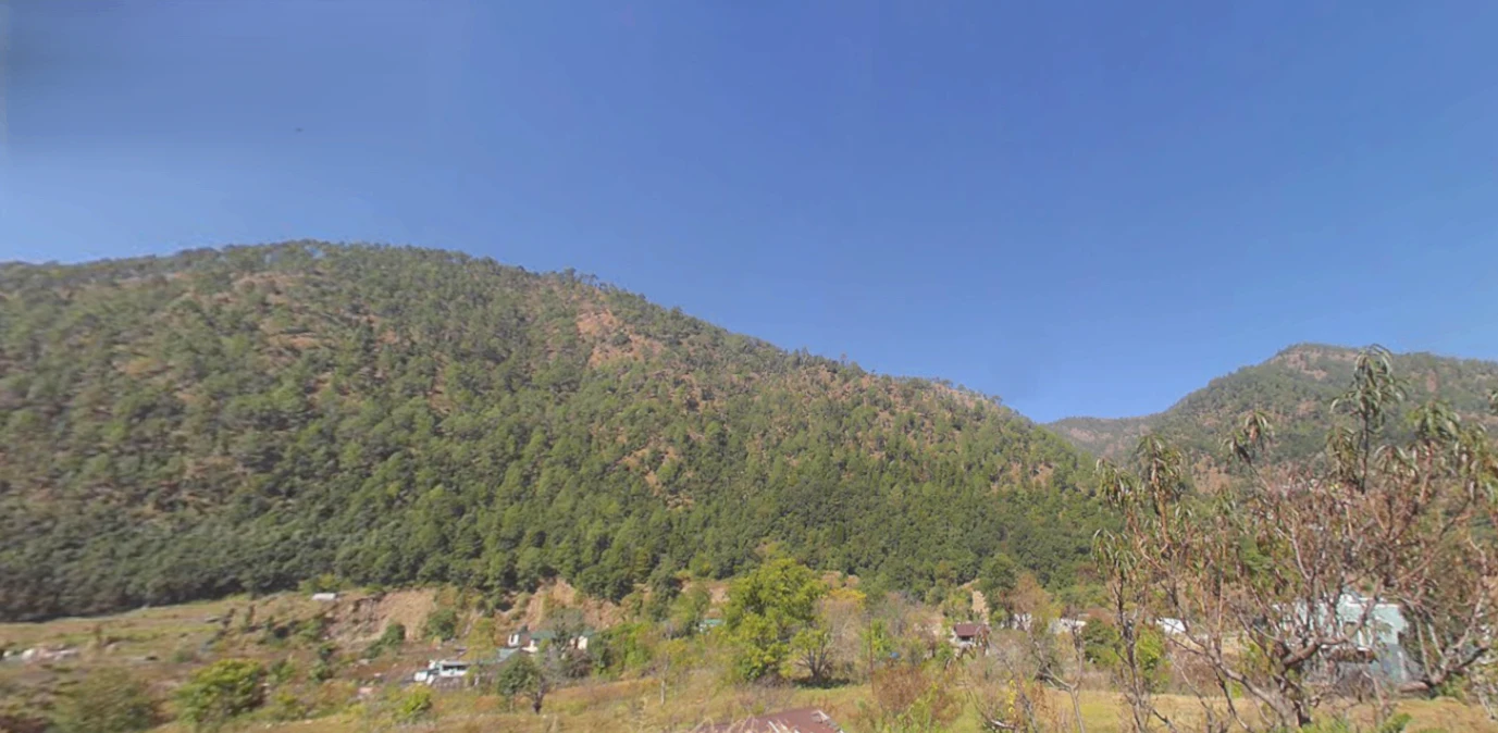 Tani, Uttarakhand 263643, India
