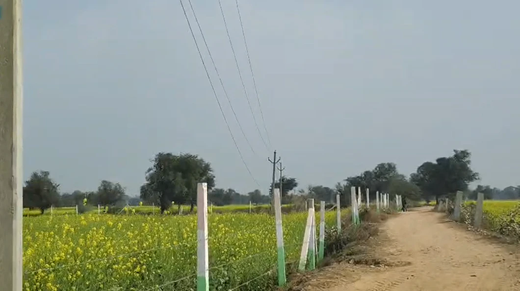 Bhawanpura, Rajasthan 321405, India