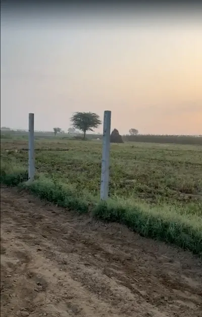 GR3P+VWM, Ladpur, Rajasthan 301026, India preview 2