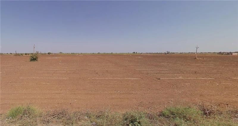 Pali, Gujarat 394310, India