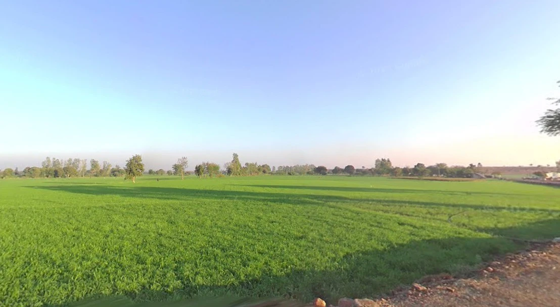 Suraiya, Madhya Pradesh 483105, India