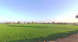 Suraiya, Madhya Pradesh 483105, India preview 2