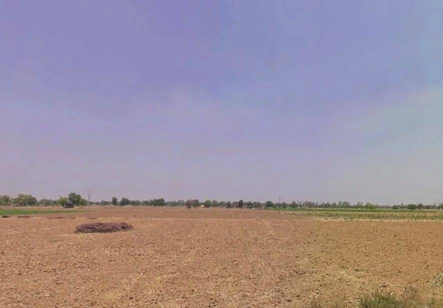 Koth Kalan, Haryana 125039, India