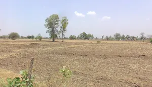 Susner, Madhya Pradesh 465447, India preview 3